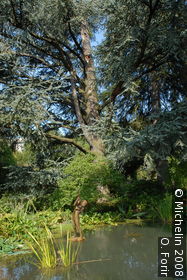 Botanical Garden