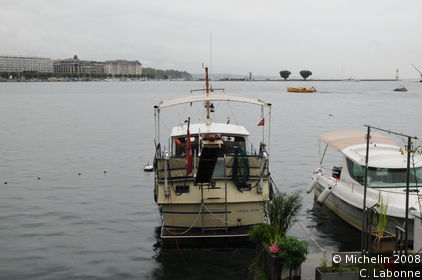 Harbour and Lake Shores