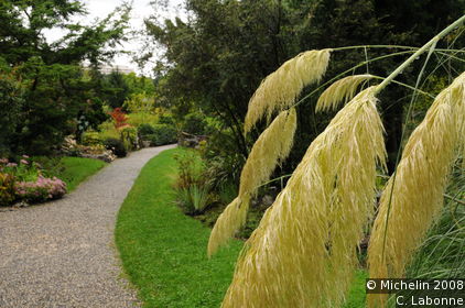 Conservatoire et Jardin Botaniques