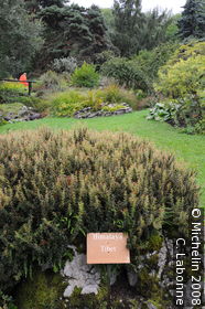 Conservatoire et Jardin Botaniques