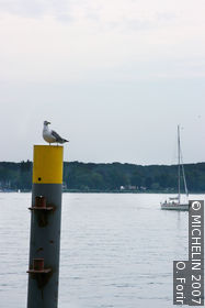 Shores of Lake Constance