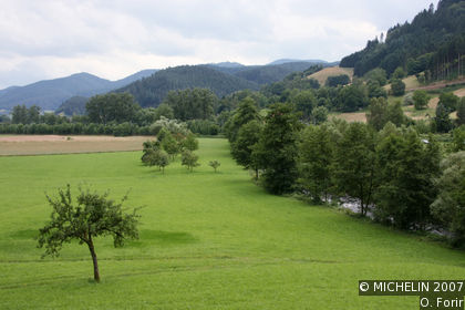 Schwarzwald