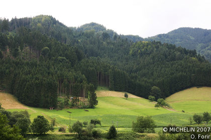 Schwarzwald