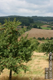 Schwarzwald