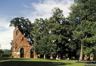 Ruins of the Eldena Cloister