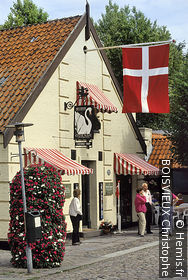 Fyn Village