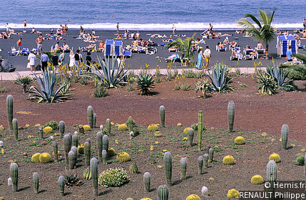 Playa Jardín