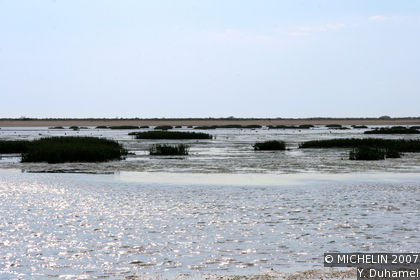 Las Marismas del Odiel Natural Site