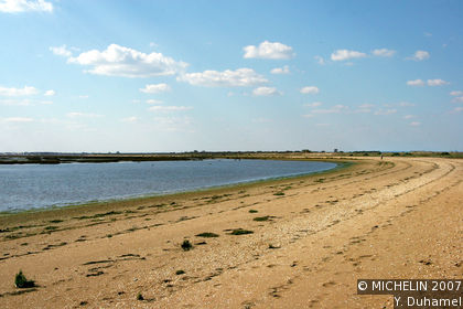 Las Marismas del Odiel Natural Site