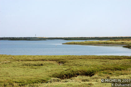 Las Marismas del Odiel Natural Site