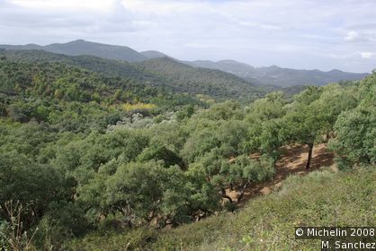 Parque Natural de la Sierra de Aracena y Picos de Aroche