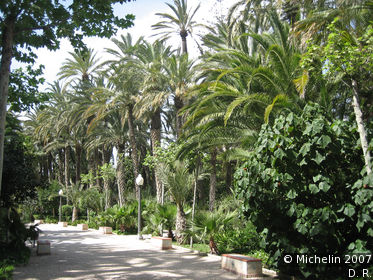 El Palmeral