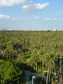 El Palmeral