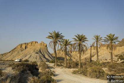 Wüste von Tabernas