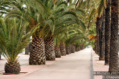Nuevo puerto deportivo