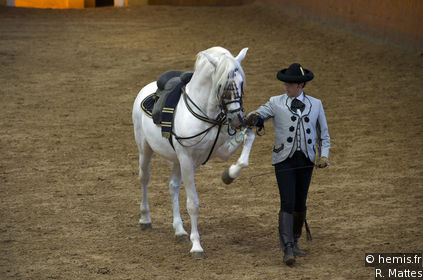 The Royal Andalucian School of Equestrian Art