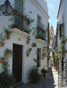 Calleja de las Flores