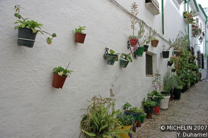 La Villa distrct
