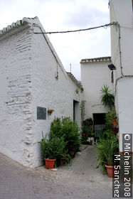 Las Laerillas Oil Mill