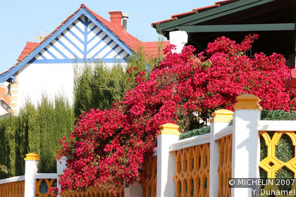 Reina Victoria Area