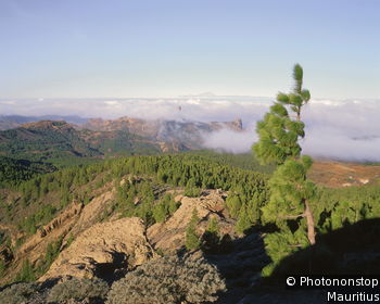 Pozo de las Nieves