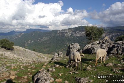 Las Sierras de Cazorla, Segura y las Villas Nature Reserve