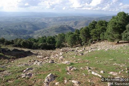 Las Sierras de Cazorla, Segura y las Villas Nature Reserve