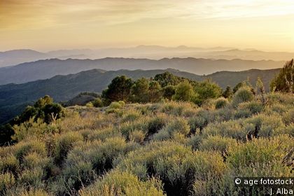 Los Montes de Málaga Nature Reserve