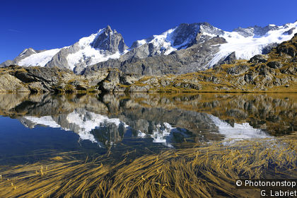 Ecrins National Park Centre