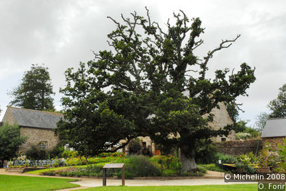 Park of the Château de la Roche-Jagu