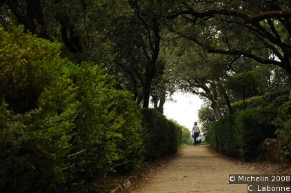 Marqueyssac gardens