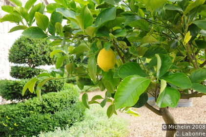Jardins de Sardy