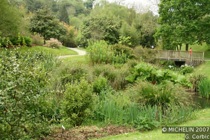 Conservatoire Botanique du Vallon du Stang-Alar