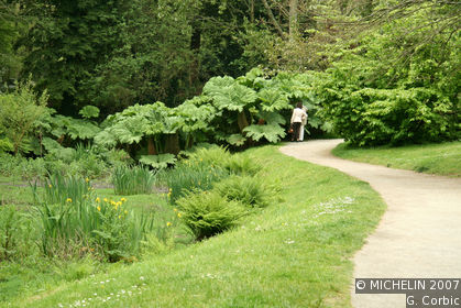 Conservatoire Botanique du Vallon du Stang-Alar