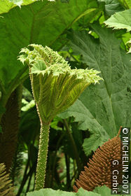Conservatoire Botanique du Vallon du Stang-Alar