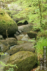 The rocks
