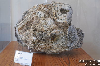 School of Mines Mineralogical Museum
