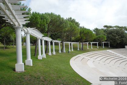 Dryads Park