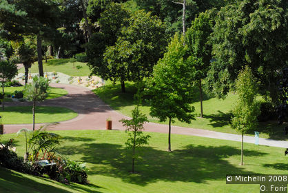 Dryads Park