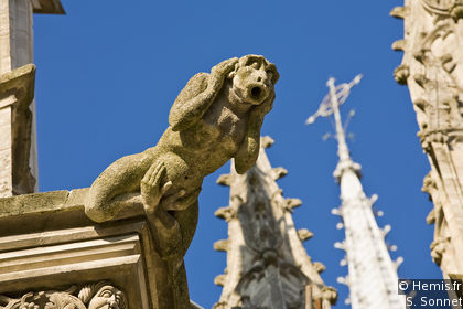 Cathedral of Ste Croix