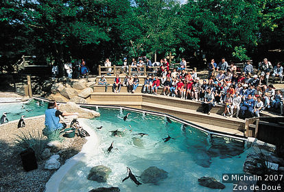 Doué-la-Fontaine Zoo