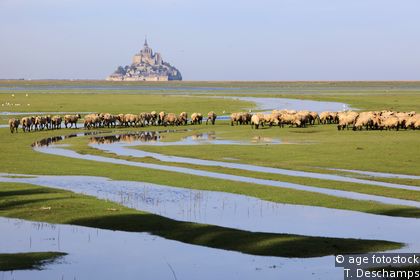 Mont-Saint-Michel bay