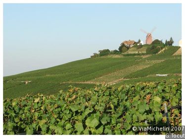Montagne de Reims