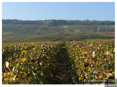 Montagne de Reims