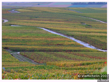 Montagne de Reims