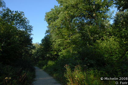 Raisme-St-Amand-Wallers Forest