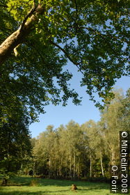 Raisme-St-Amand-Wallers Forest