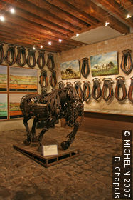 Musée Vivant du Cheval et du Poney