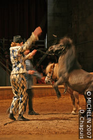 Musée Vivant du Cheval et du Poney