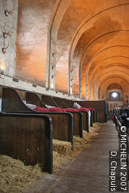 Musée Vivant du Cheval et du Poney